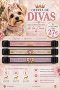 Pack Diva – 3 Collares Personalizados por 27