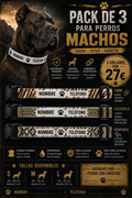 🐅 Pack Machos – 3 Collares Personalizados por 27 €